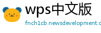 wps中文版